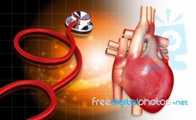 Human Heart With Stethoscope Stock Image