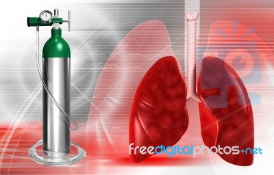 Human Lungs Stock Image