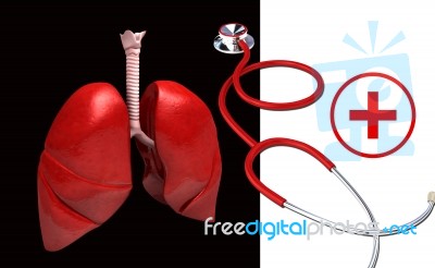 Human Lungs With Stethoscope Stock Image