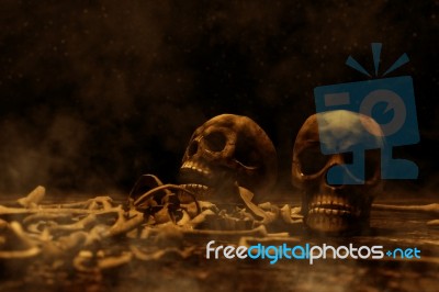 Human Skull In The Dark,3d Illustration Stock Image