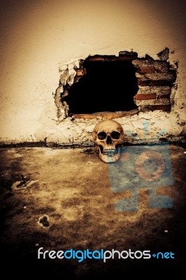Human Skull On Breaking Concrete Wall In Abandoned House Stock Photo