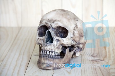 Human Skull On Wood Background Stock Photo