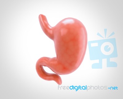 Human Stomach 3d Illustration In Digital Background Stock Image