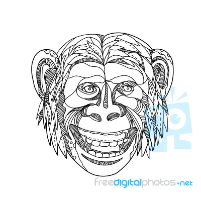 Humanzee Smiling Doodle Stock Image