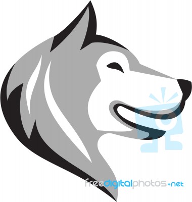 Husky Dog Head Retro Stock Image