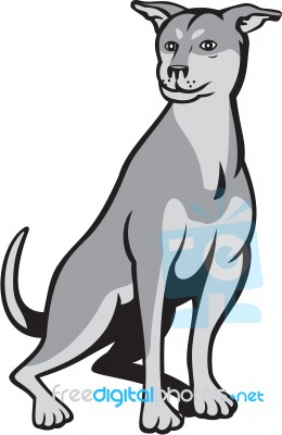 Husky Shar Pei Cross Dog Sitting Cartoon Stock Image
