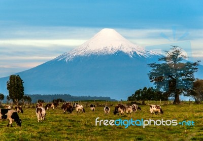 Idyllic Landscape Of Osorno Volcano, Lake Region, Chile Stock Photo