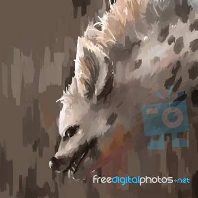 Illustration Digital Painting Animal Hyena Stock Image