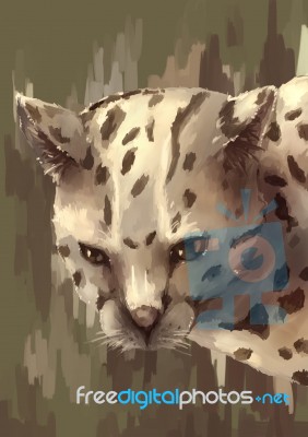Illustration Digital Painting Animal Wildcat Stock Image