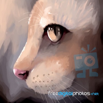 Illustration Digital Painting Cat Portrait Stock Image