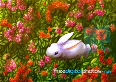 Illustration Digital Painting Rabbit Ixora Stock Image