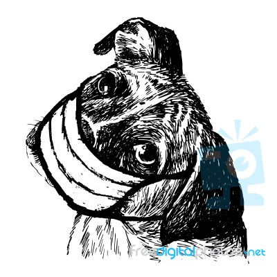 Illustration Of Boxer Dog With Mask Stock Image