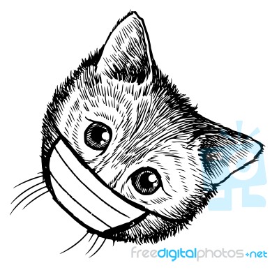 Illustration Of Cat With Mask Hand Drawn Stock Image