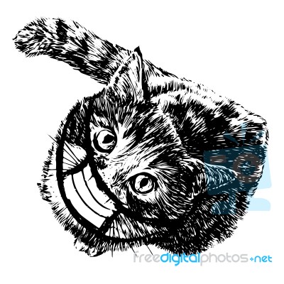 Illustration Of Cat With Mask Hand Drawn Stock Image