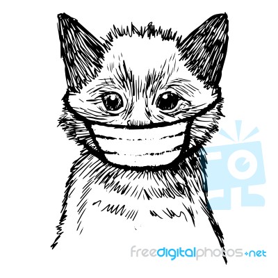 Illustration Of Cat With Mask Hand Drawn Stock Image