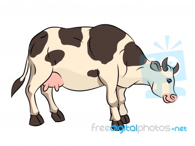 Illustration Of Cow Cartoon -  Illustration Stock Image