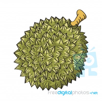 Illustration Of Durian- Illustration Stock Image
