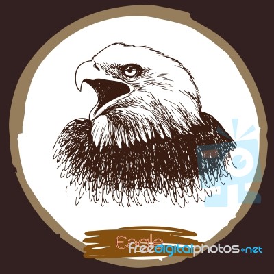 Illustration Of Eagle, Hawk Bird Stock Image