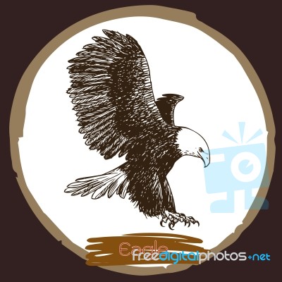 Illustration Of Eagle, Hawk Bird Stock Image