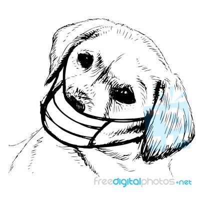 Illustration Of Labrador Retriever Dog With Mask Stock Image