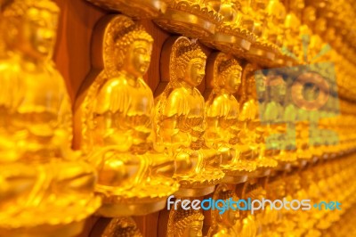 Image Buddha Stock Photo