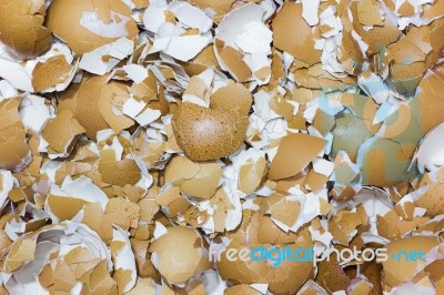 Image Of Crushed Egg Shells Backgrounds. Crack The Egg Stock Photo
