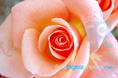 In The Depth Stock Photo In The Depth Stock Photo