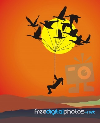 Incredible Flying Boy And Geese Stock Image