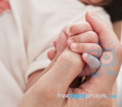 Infant Hand And Mother Hand Stock Photo