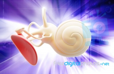 Inner Ear Structure 3d Stock Image