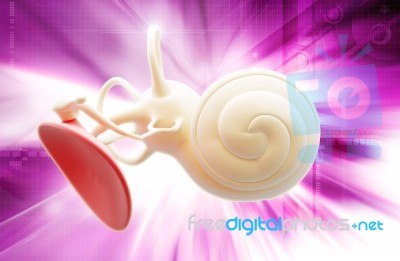 Inner Ear Structure 3d Stock Image