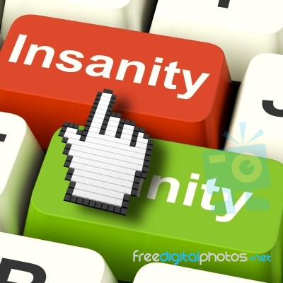 Insanity Sanity Keys Shows Sane And Insane Psychology Stock Image