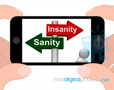 Insanity Sanity Signpost Displays Sane Or Insane Stock Image