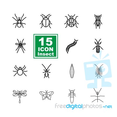 Insect Icon Set On White Background Stock Image