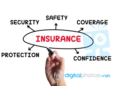Insurance Diagram Means Coverage Safeguard And Insuring Stock Image