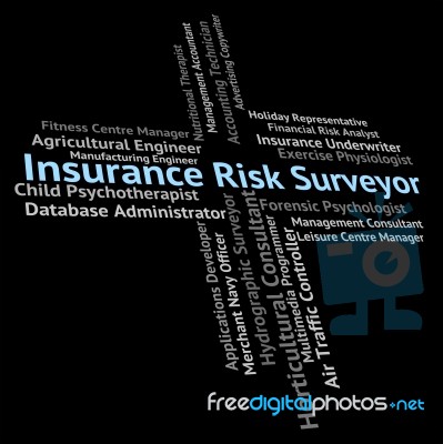 Insurance Risk Surveyor Means Word Employee And Measurer Stock Image