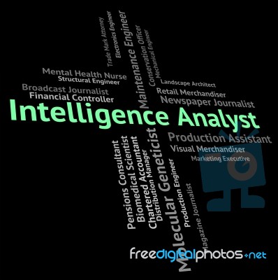 Intelligence Analyst Shows Intellectual Capacity And Ability Stock Image