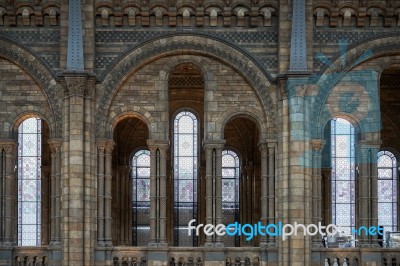 Interior View Of The Natural History Museum In London Stock Photo