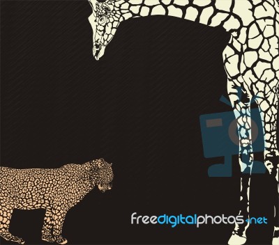 Inverse Leopard And Giraffe Camouflage Stock Image