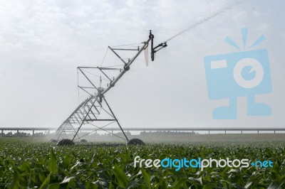 Irrigation Of Corn Field Stock Photo