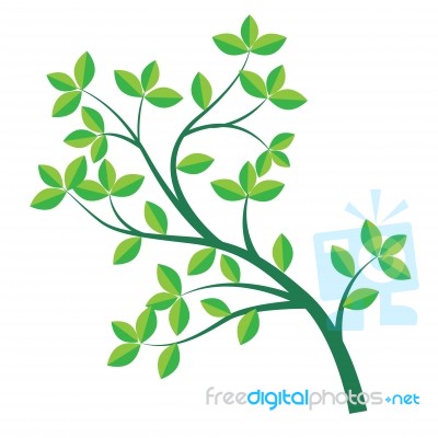 Isolated Green Branch And Leaf- Illustration Stock Image