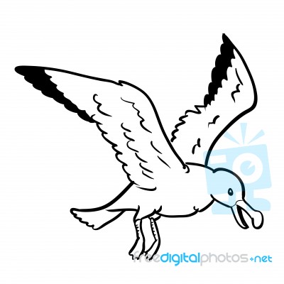 Isolated Gull Cartoon- Hand Drawn Illustration Stock Image Isolated Gull Cartoon- Hand Drawn Illustration Stock Image
