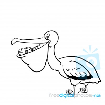 Isolated Pelican Cartoon- Hand Drawn Illustration Stock Image