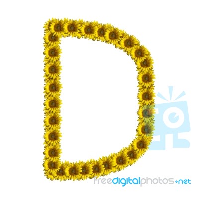 Isolated Sunflower Alphabet D Stock Photo
