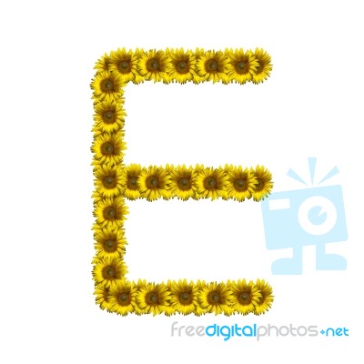 Isolated Sunflower Alphabet E Stock Photo