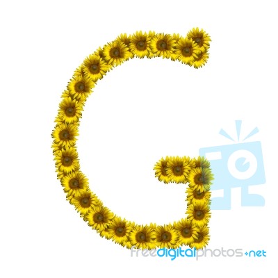 Isolated Sunflower Alphabet G Stock Photo