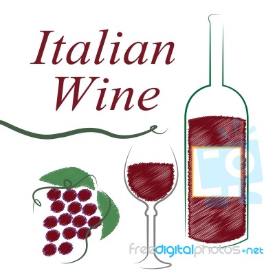 Italian Wine Shows Alcoholic Drink And Booze Stock Image