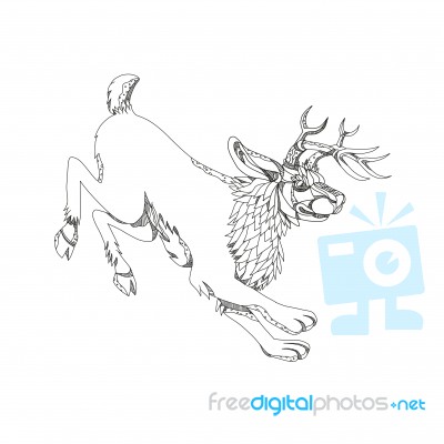 Jackalope Hopping Doodle Art Stock Image