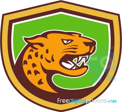 Jaguar Head Side Growling Shield Retro Stock Image