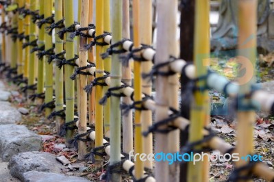 Japanese Style Bamboo Fences Stock Photo